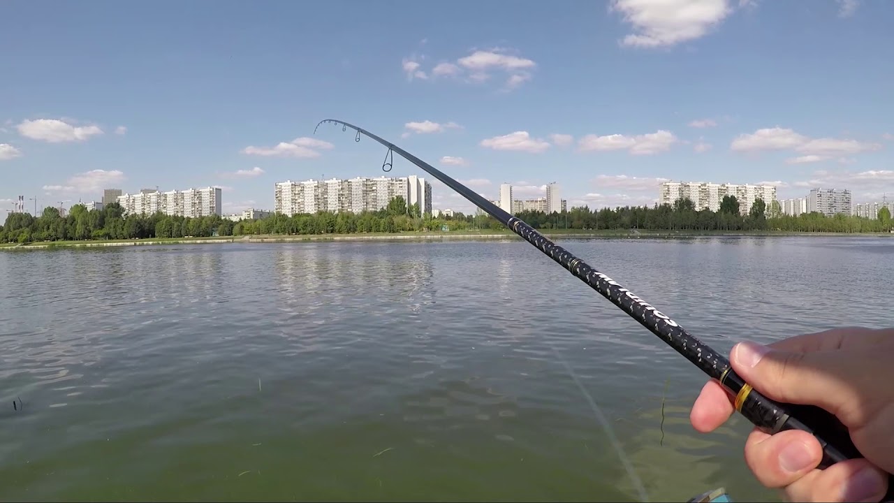 EverGreen Poseidon Squidlaw Imperial NIMS-86M Razor King 86 - YouTube