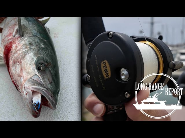 The BEST Rig For Yellowtail in 2025 | Long Range Report Ep.4 - YouTube