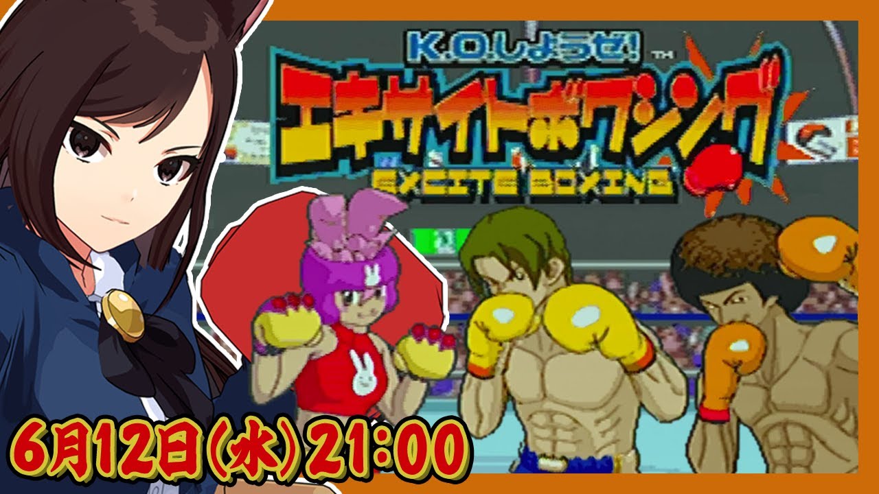 体感ゲームシリーズ】エキサイトボクシング【エポック社】Excite