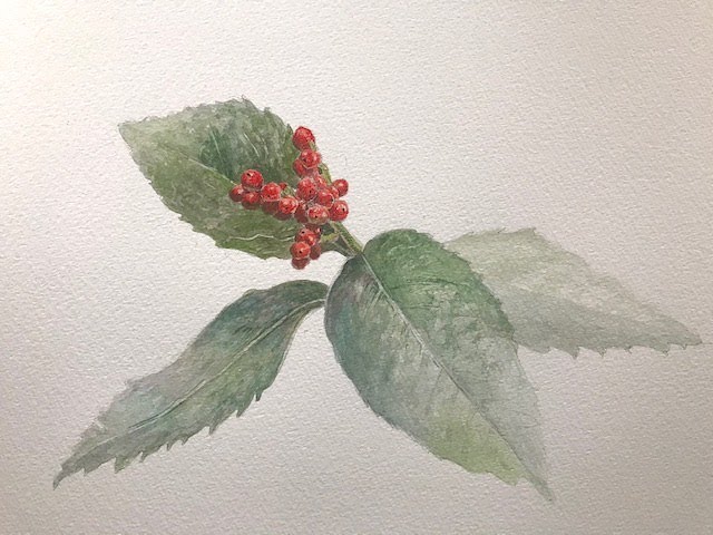 Beginner's Drawing Course: Watercolor Edition 2/2 