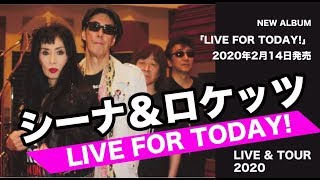 公式】シーナ＆ロケッツ「LIVE FOR TODAY！」「LOVE BOX」ティザー映像
