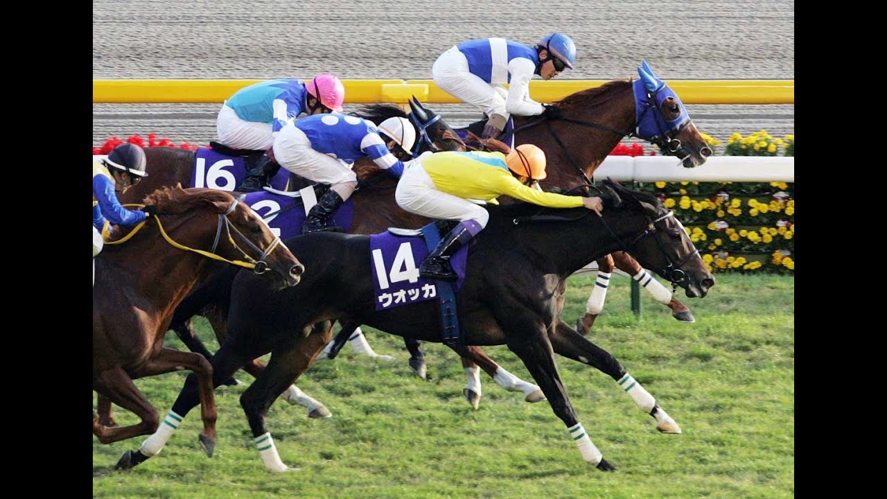 2008 天皇賞秋 GⅠ ウオッカ 武 豊 - YouTube