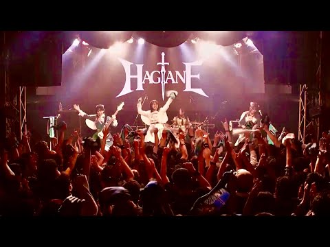HAGANE-Life goes on! (LIVE Music Video) - YouTube