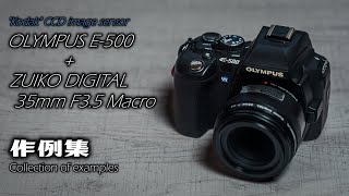 Kodak製CCDセンサー機 OLYMPUS（オリンパス）E-500 + 