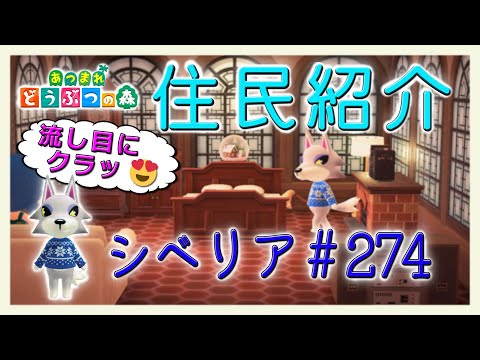 Introducing the New Horizons Villagers: Siberia #274 New Horizons