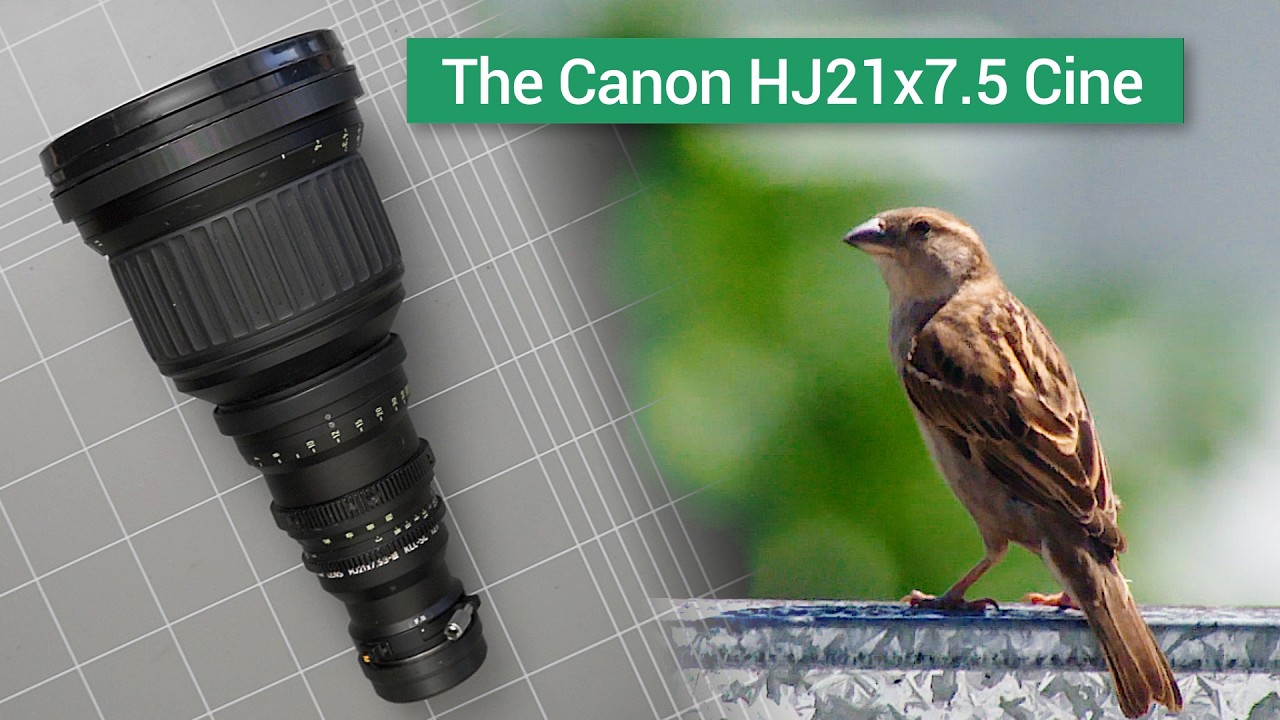 Canon HJ21x7.5 Cinema Zoom B4 Lens Testing // Optically Corrected