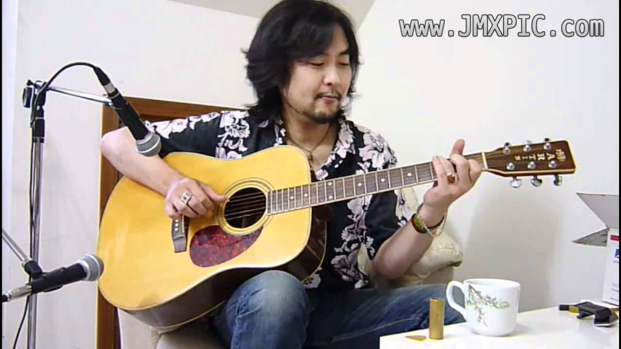 eBay USA 出品物: Pro Martin W-300 Dreadnought Flattop, すのう氏