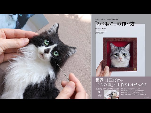 My how-to book has a release date! - YouTube