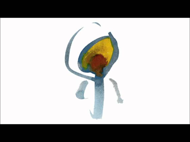 Nujabes - Still Talking To You - YouTube