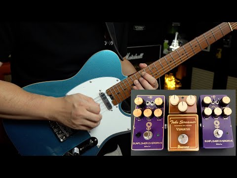 Vemuram Ibanez TSV808是个超级好块，买不到也买不起，还好有初云完美