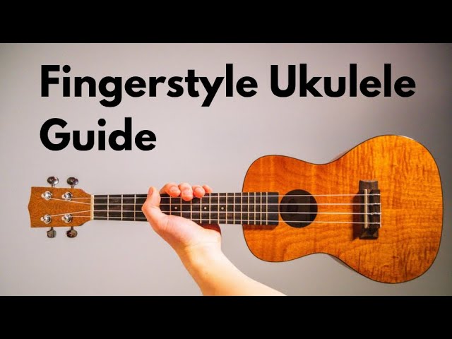 キカイダー01（ウクレレ・ソロ）