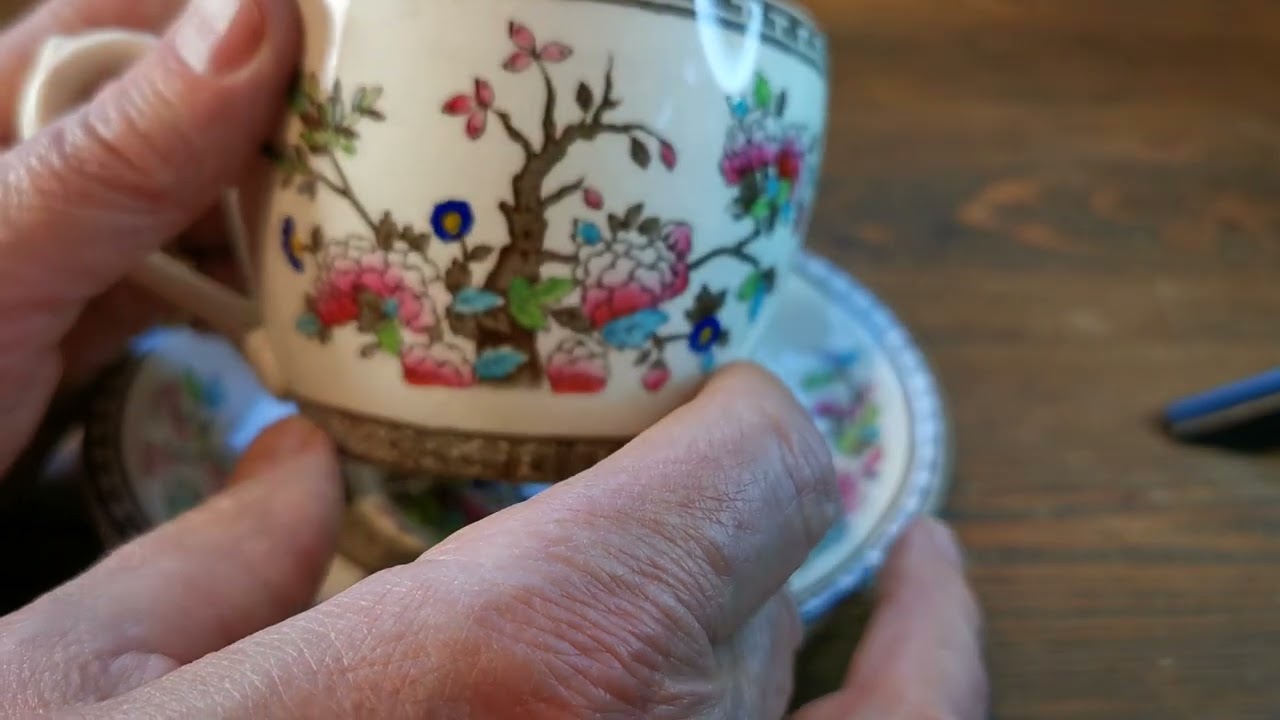 Bridgwood China Ye Olde Indian Tree 5800 Teacup and Saucer