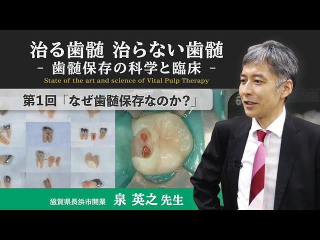 Doctorbook academy 人気動画紹介】治る歯髄 治らない歯髄 - 歯髄保存