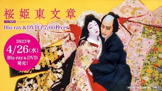 SHOCHIKU STORE | 松竹ストアシネマ歌舞伎 桜姫東文章 [DVD]: 松竹DVD