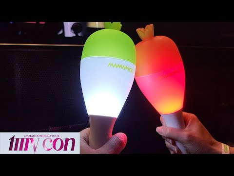 I Was Front Row to the Most EPIC #KPOP Concert EVER!! MAMAMOO 마마