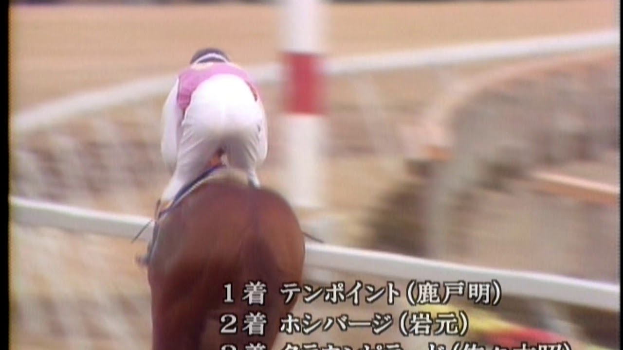 20世紀の名馬 14位 テンポイント - YouTube