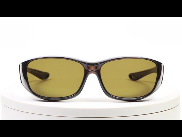 360°】TALEX（タレックス）偏光レンズ 超軽量オーバーグラス EM6-D03