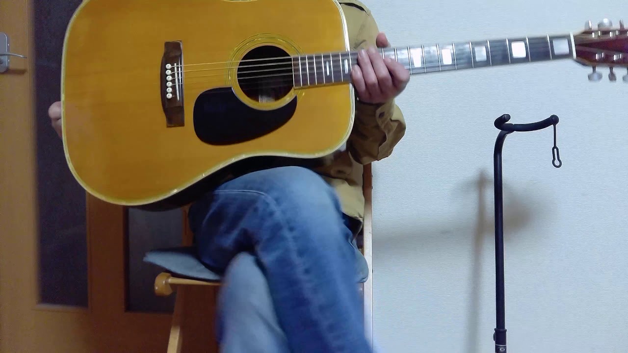 トムソン アコースティックギター GW-25 ブラウン Tomson トムソン