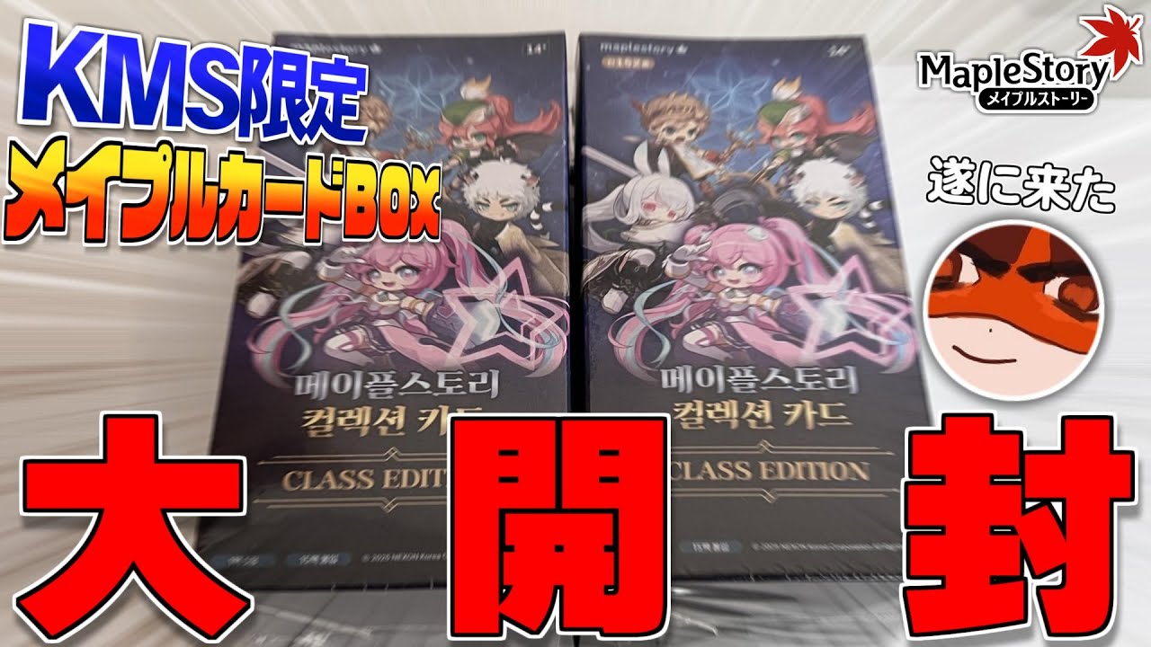 メイプルストーリー Maple Story TCG 第一弾 韓国語 スターター