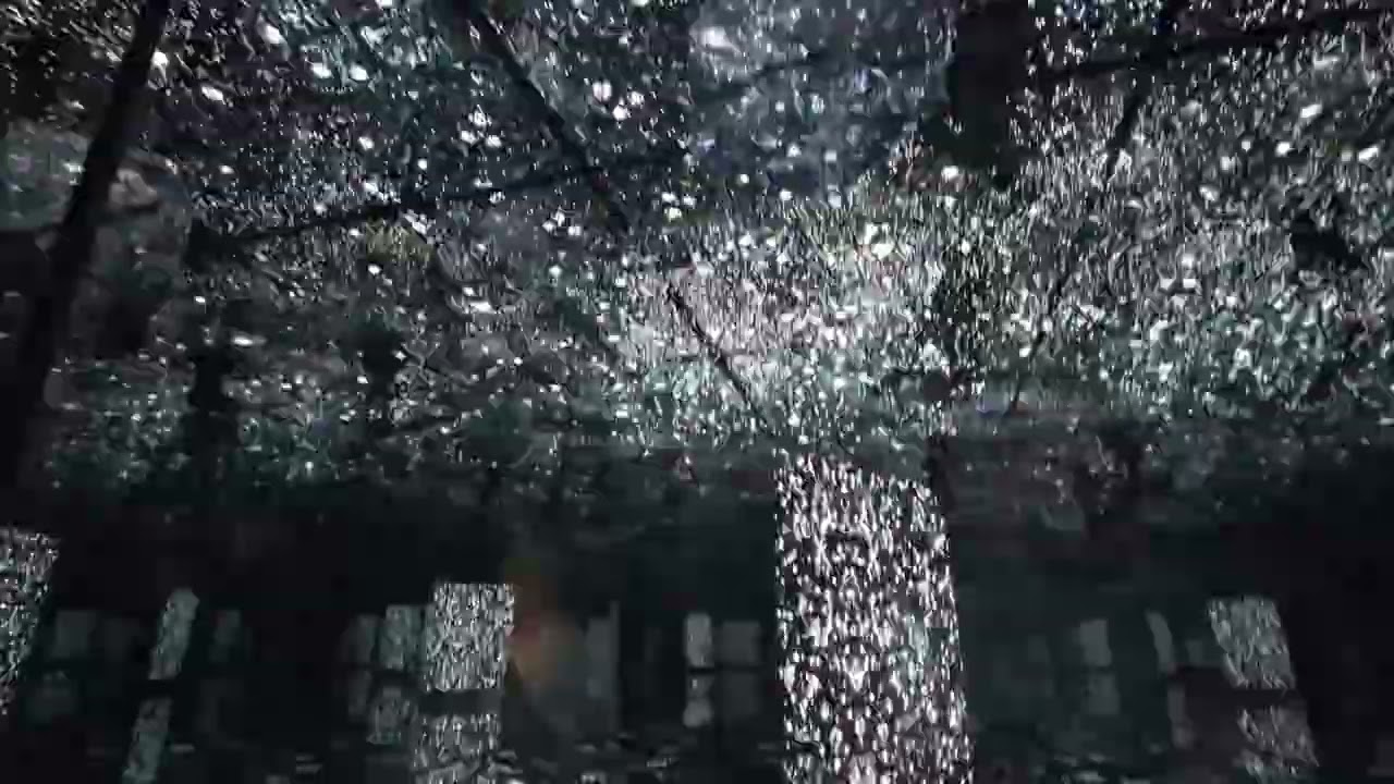 大阪・関西万博 null2（ヌルヌル）インスタレーションモードを8倍速