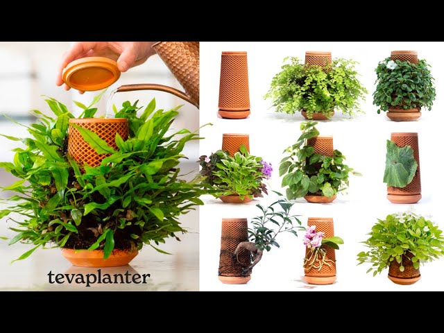 tevaplanter｜独自開発！セラミック素材の表面で植物を育てる