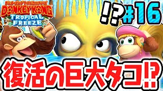 King Takora, the formidable enemy from the previous game, is back