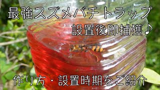 スズメバチ捕獲器！！トラップの作り方・設置時期♪【日本蜜蜂】 - YouTube