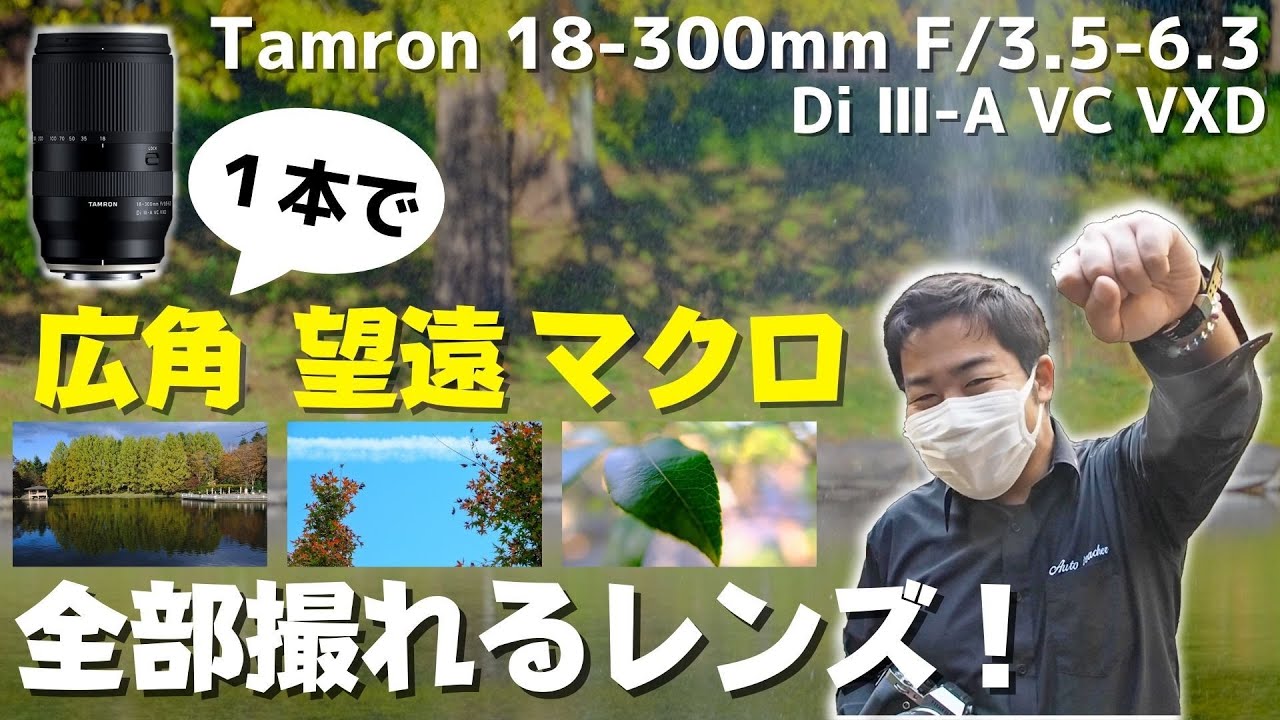 タムロンの最新超高倍率万能レンズで撮ってみた！写りもいいし、1本で