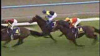 第66回 菊花賞 ディープインパクト - YouTube