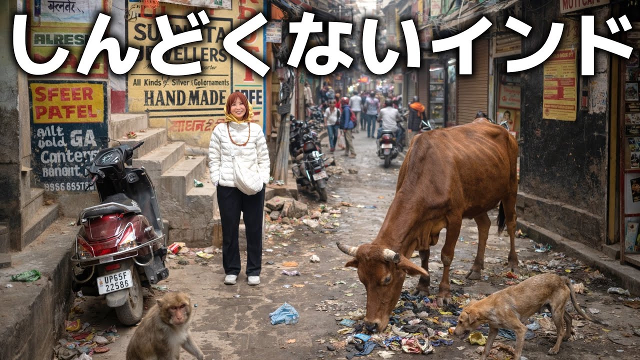 しんどくないインド】5つ星×プライベートで巡る大人の快適旅5日間