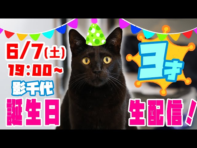 sddefault.jpg?v=68431686