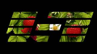 L-1 Quad VC Resonant Equalizer - Eurorack Module on ModularGrid