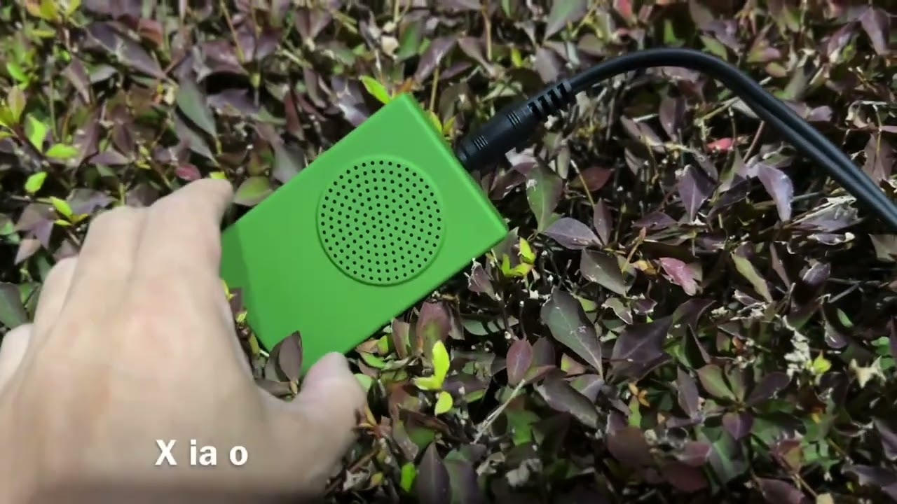 maxresdefault.jpg?sqp=-