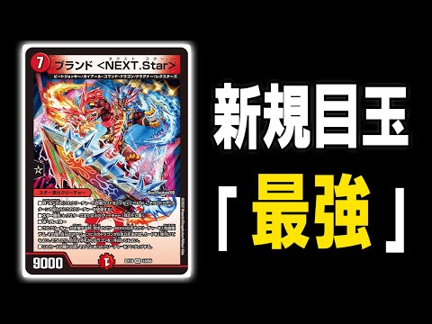 速報】予想以上の活躍「ブランド ＜NEXT.Star＞」がとにかく凄すぎる