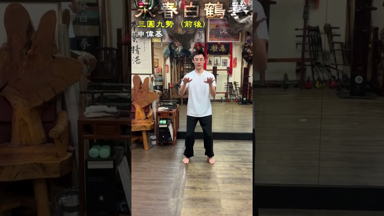 香港・李剛老師一門「漳州伝永春白鶴拳」鍛錬法 - YouTube