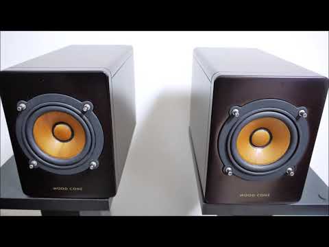 昼音アニジャズ ウッドコーンスピーカー SP-EXAR3 #空気録音 Victor