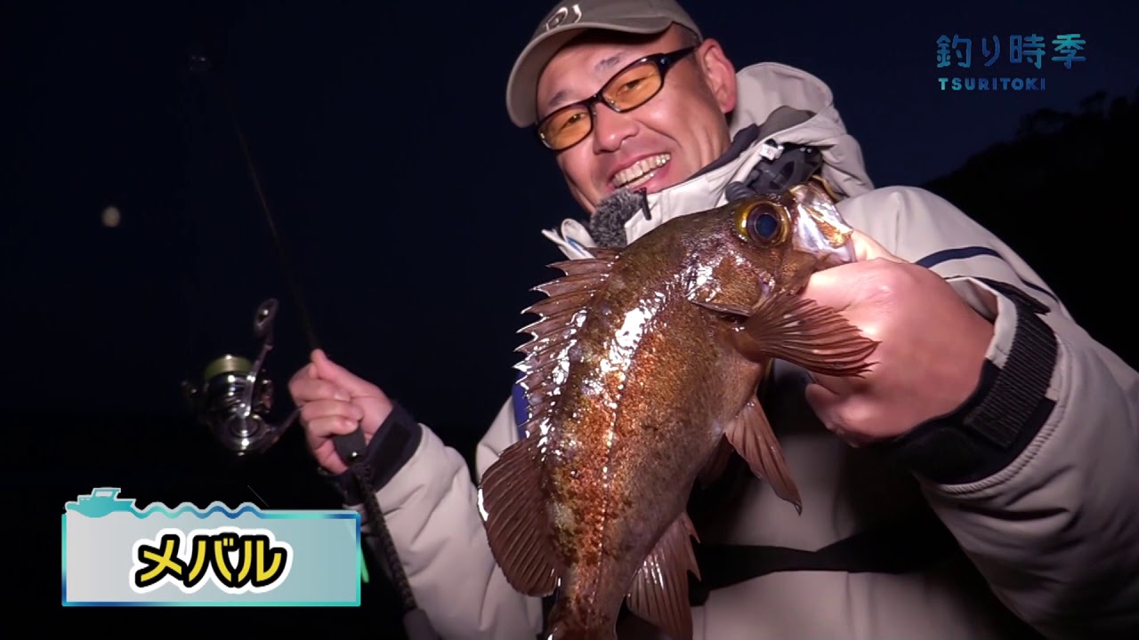 Dreem Con Three 81SF 椿 – DreemUp