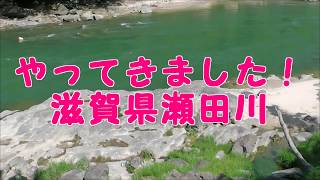 suiseki 瀬田川01 探石前編 Seta river tha first part01 - YouTube