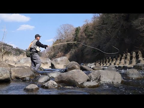 ドライフライの季節【2025年】渡良瀬川のフライフィッシング／自作の