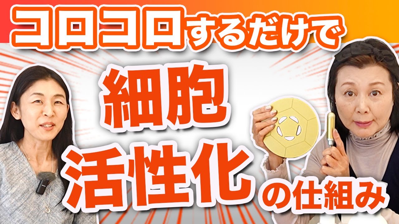 FTW フォーグセット（フラットタイプ）フォーグ2枚、専用袋、マジック