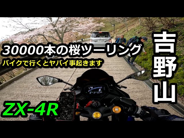 ZX-4R] Going on a motorcycle tour of Mount Yoshino is crazy