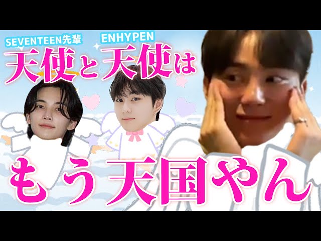 ENHYPEN/SEVENTEEN 日本語字幕】ジョンウォンのこと話すセブチ先輩