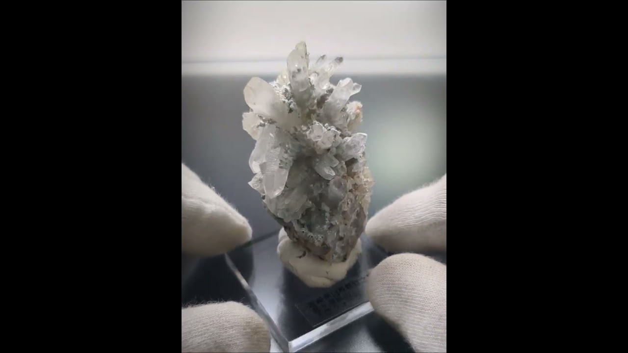 日本国産鉱物標本037 宮崎県臼杵郡日之影町乙ヶ淵（苔土フォイト電気石