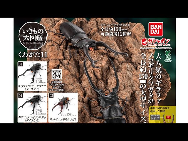 The Big Creature Encyclopedia 