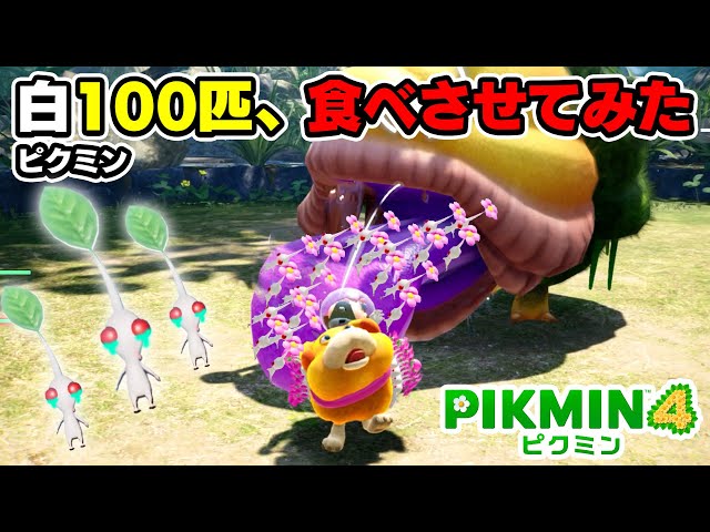 Pikmin #49] Forbidden strategy! Feed the Emperor Butterfly a ton