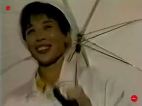 サザンオールスターズ-真夏の夜の夢-1988大復活祭 - YouTube