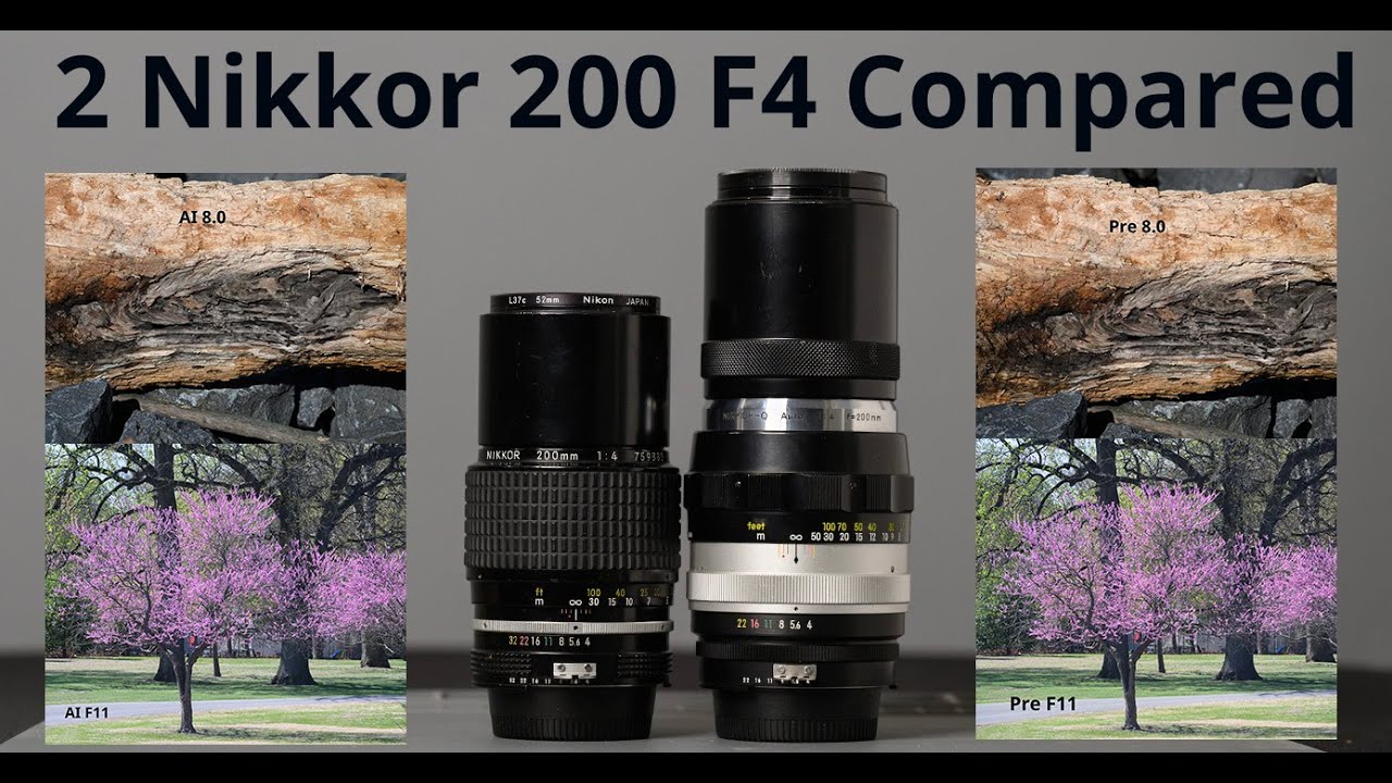 テレフォト比に見る200mm F4レンズの進化と終焉【New FD 200mm F4