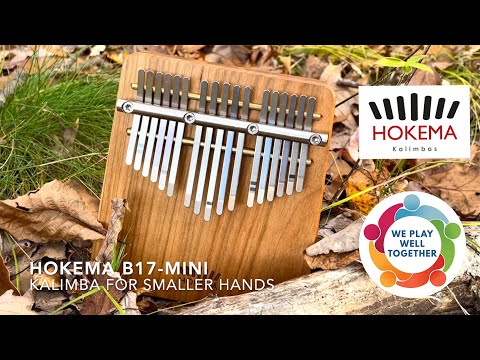 Hokema B17-Mini Kalimba in C-major demo - YouTube