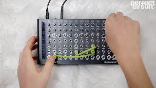 Erica Pico System III Desktop Modular Synthesizer - Perfect Circuit