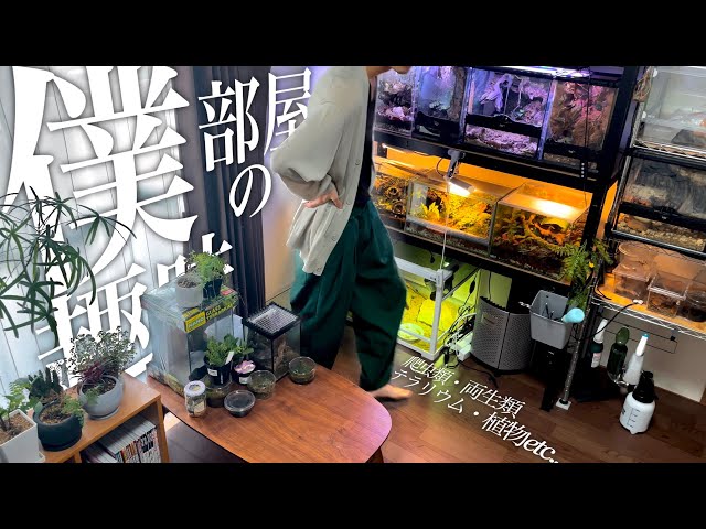 REPTILE ROOM TOUR!!!! - YouTube